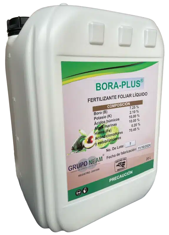 BORA-PLUS